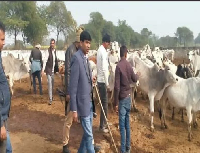 गौ आश्रय केन्द्रों का सीडीओ ने किया निरीक्षण