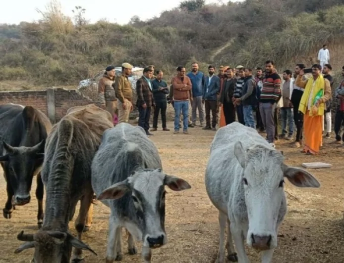 बरहा कोटरा गौशाला का डीएम ने किया स्थलीय निरीक्षण