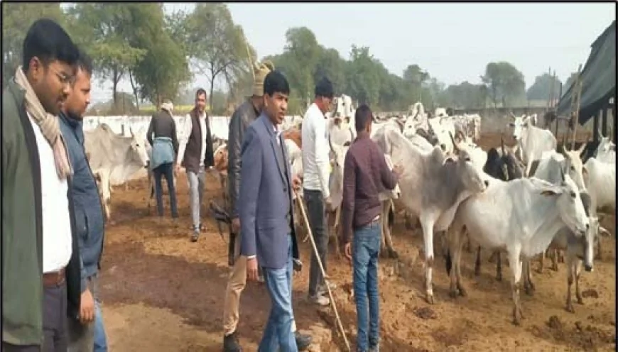 गौ आश्रय केन्द्रों का सीडीओ ने किया निरीक्षण