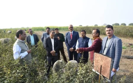 बाँदा कृषि विश्वविद्यालय में स्थापित होगा ‘शुष्क खेती पर उत्कृष्टता केंद्र’