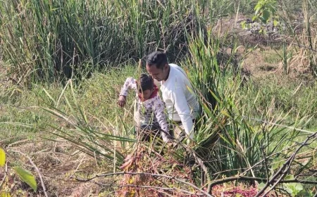 विवाह समारोह में शामिल होने आए 9 वर्षीय बालक को ग्रामीणों ने दलदल से सकुशल निकाला