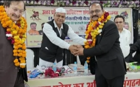 पियूष गोयल बने स्टेट चेयरमैन