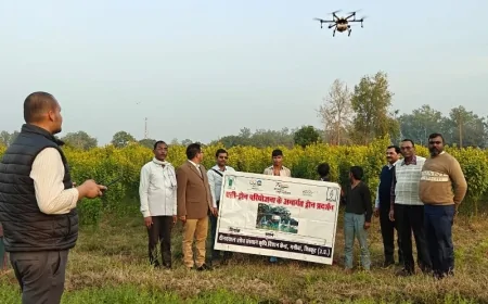 एग्री ड्रोन से अरहर फसल पर कीटनाशक का हुआ छिड़काव