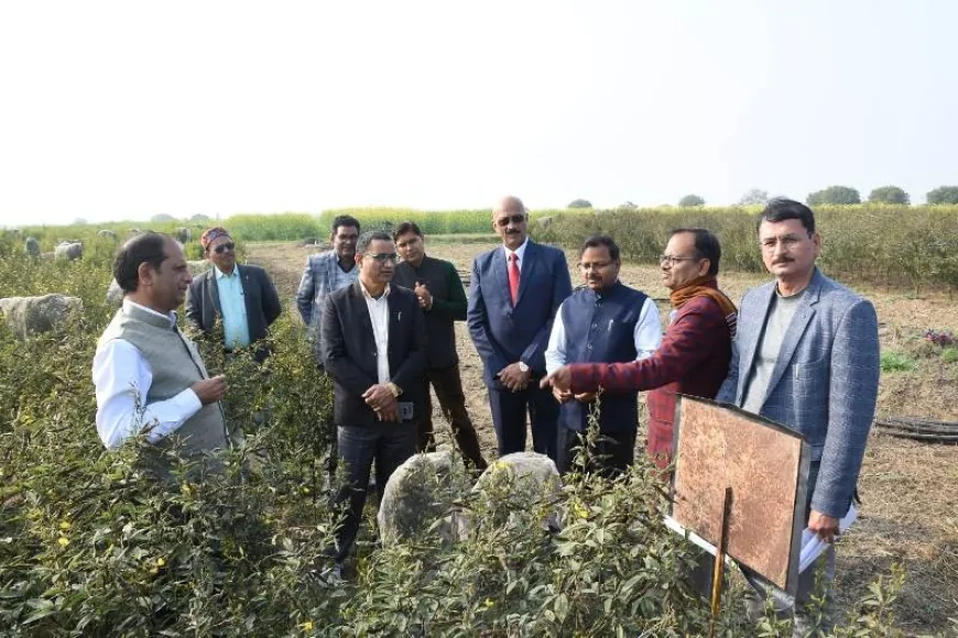बाँदा कृषि विश्वविद्यालय में स्थापित होगा ‘शुष्क खेती पर उत्कृष्टता केंद्र’