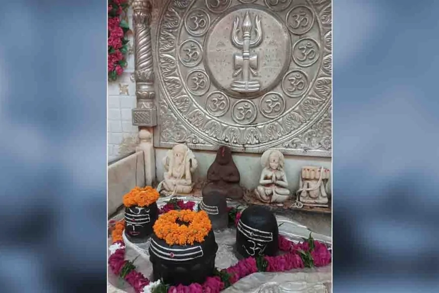 महाशिवरात्रि पर राजाधिराज मत्तगजेंद्रनाथ सरकार की भव्य बारात निकलेगी