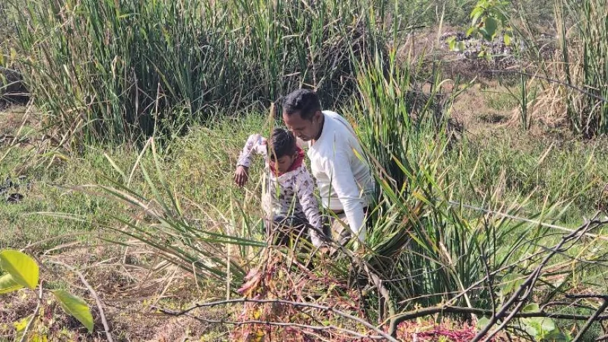 विवाह समारोह में शामिल होने आए 9 वर्षीय बालक को ग्रामीणों ने दलदल से सकुशल निकाला