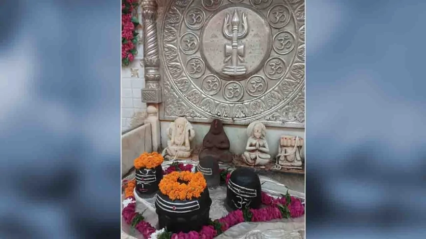 महाशिवरात्रि पर राजाधिराज मत्तगजेंद्रनाथ सरकार की भव्य बारात निकलेगी