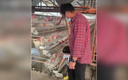 कुक्कुट फार्म का डीएम ने किया निरीक्षण