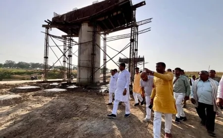 तिंदवारी विधायक का औचक निरीक्षण, निर्माणाधीन पुल कार्य का लिया जायजा