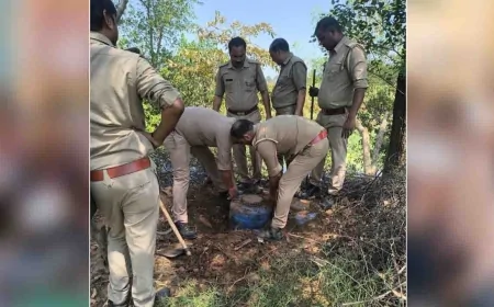 नष्ट कराया पांच कुंतल लहन, 35 लीटर कच्ची शराब बरामद