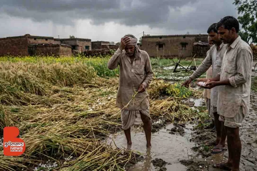 बांदा में बेमौसम बारिश और ओलावृष्टि से फसलों की तबाही, किसानों पर संकट गहराया