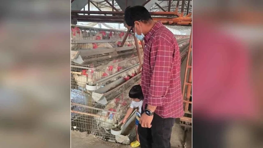 कुक्कुट फार्म का डीएम ने किया निरीक्षण