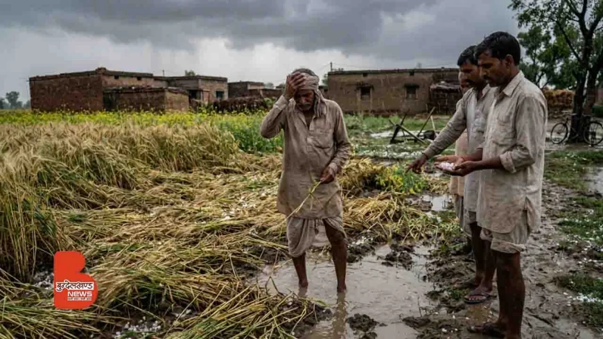 बांदा में बेमौसम बारिश और ओलावृष्टि से फसलों की तबाही, किसानों पर संकट गहराया