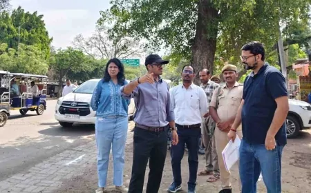 धनुष चौराहे से पटेल तिराहे तक सड़क चौड़ीकरण व सौंदर्यीकरण कार्य का डीएम ने किया निरीक्षण