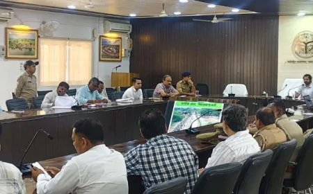 सिंगल यूज प्लास्टिक और थर्माकोल पर लगाएं प्रतिबंध : डीएफओ