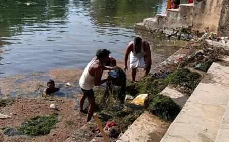 बुंदेली सेना नें पुलघाट पर चलाया सफाई अभियान