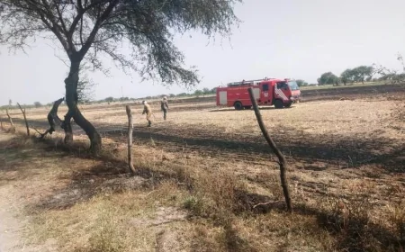 ददरी व रिठारी गांव में आग से हड़कंप, दमकल ने पाया काबू