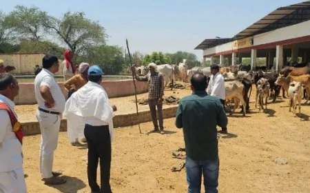 एडीएम ने कान्हा गौशाला का किया निरीक्षण