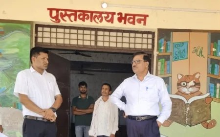 डीपीआरओ ने ग्राम कसहाई व भौरी का किया निरीक्षण, दिए निर्देश