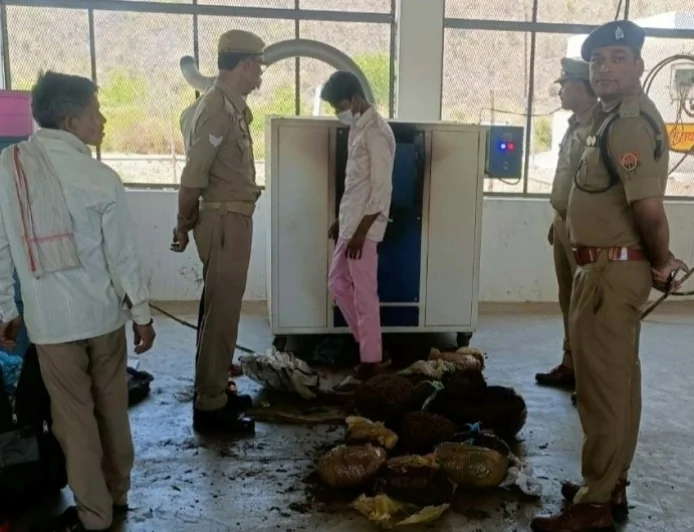 नष्ट कराया गया 90.644 किग्रा गांजा