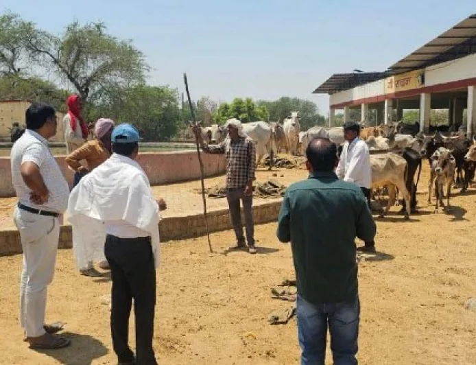 एडीएम ने कान्हा गौशाला का किया निरीक्षण