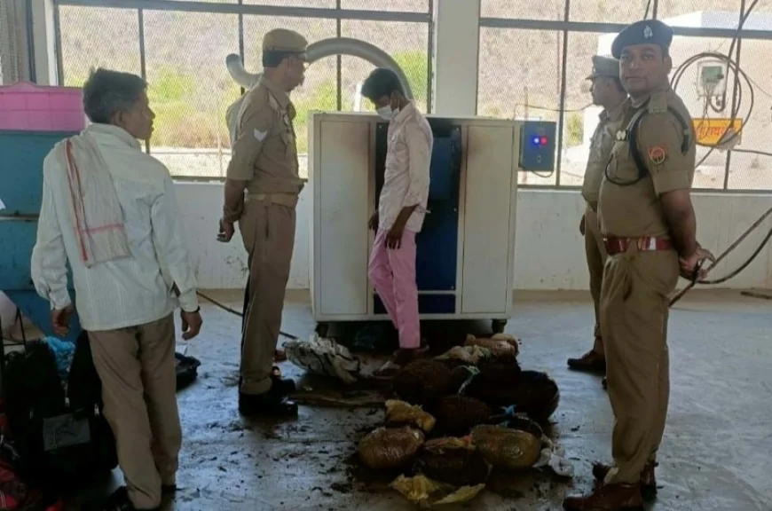 नष्ट कराया गया 90.644 किग्रा गांजा