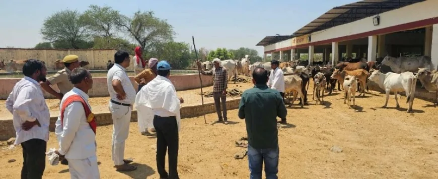एडीएम ने कान्हा गौशाला का किया निरीक्षण