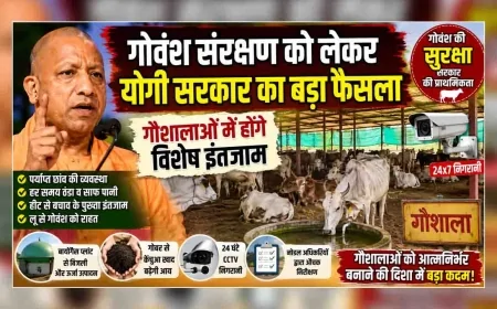 बाँदा : गोवंश संरक्षण को लेकर योगी सरकार का बड़ा फैसला, गौशालाओं में होंगे विशेष इंतजाम
