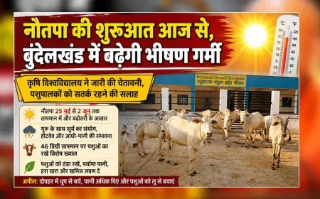 नौतपा की शुरुआत आज से, बुंदेलखंड में बढ़ेगी भीषण गर्मी