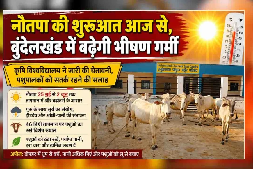 नौतपा की शुरुआत आज से, बुंदेलखंड में बढ़ेगी भीषण गर्मी