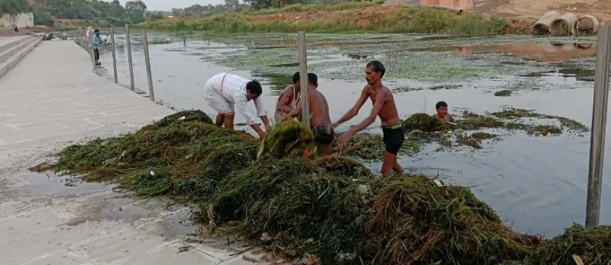 पन्नालाल घाट को अमावस्या के पहले बनाया स्वच्छ सुंदर : अजीत सिंह