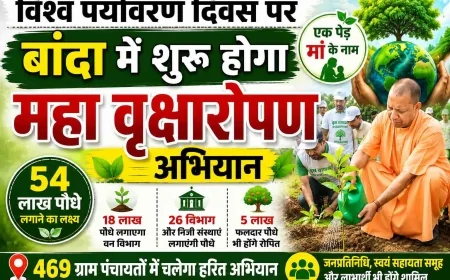 विश्व पर्यावरण दिवस पर बांदा में होगा ऐतिहासिक वृक्षारोपण महाभियान, 54 लाख पौधे लगाने का लक्ष्य