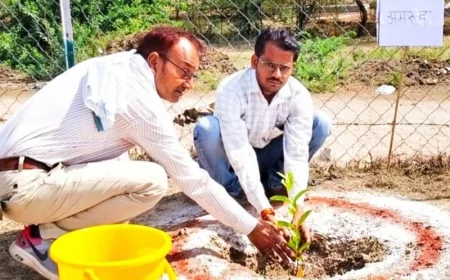 झलोखर में पर्यावरण दिवस पर वरिष्ठ पत्रकार अखिलेश सिंह गौर ने किया वृक्षारोपण, कहा– "एक वृक्ष, सौ पुत्रों के समान"