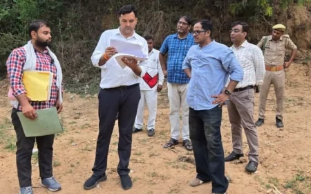 डीएम ने सरकारी भूमि का किया औचक निरीक्षण