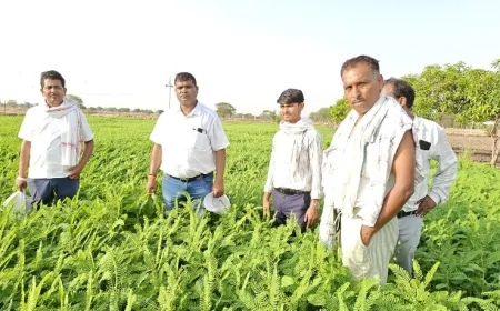 उप कृषि निदेशक ने फसल प्रबंधन व सिंचाई तकनीक की दी जानकारी