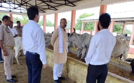 दुरुस्त की जाए गौशालाओं की छोटी से छोटी कमियां : रमाकांत