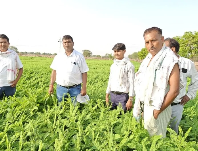 उप कृषि निदेशक ने फसल प्रबंधन व सिंचाई तकनीक की दी जानकारी