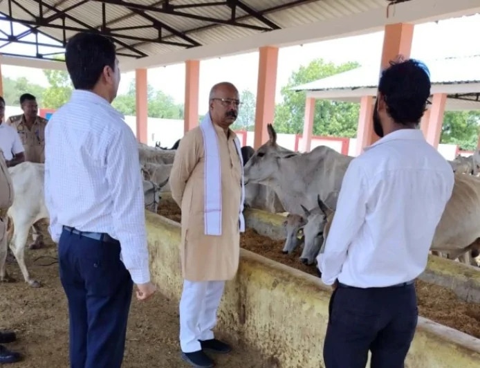 दुरुस्त की जाए गौशालाओं की छोटी से छोटी कमियां : रमाकांत