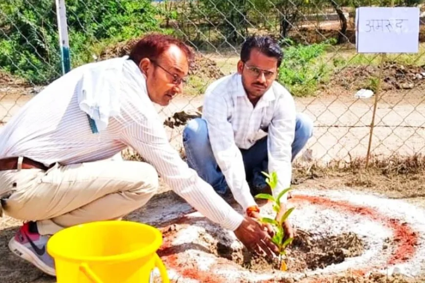 झलोखर में पर्यावरण दिवस पर वरिष्ठ पत्रकार अखिलेश सिंह गौर ने किया वृक्षारोपण, कहा– "एक वृक्ष, सौ पुत्रों के समान"