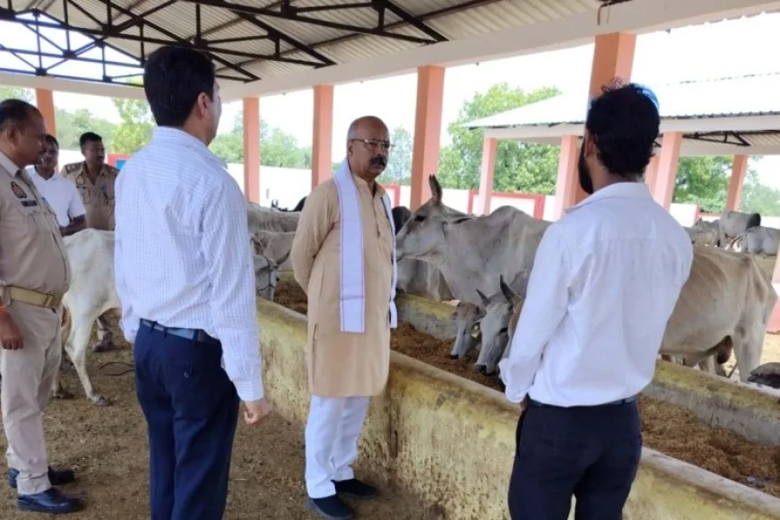 दुरुस्त की जाए गौशालाओं की छोटी से छोटी कमियां : रमाकांत