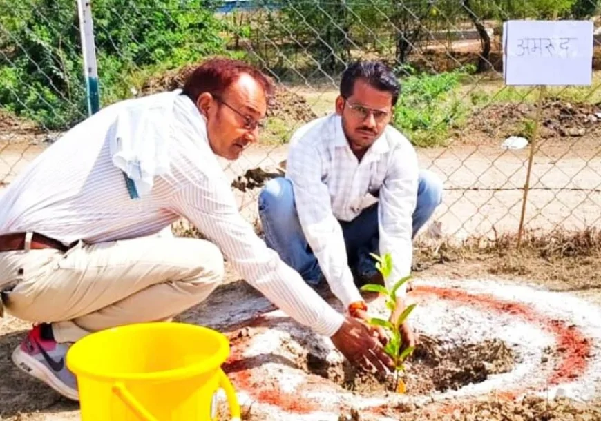 झलोखर में पर्यावरण दिवस पर वरिष्ठ पत्रकार अखिलेश सिंह गौर ने किया वृक्षारोपण, कहा– "एक वृक्ष, सौ पुत्रों के समान"