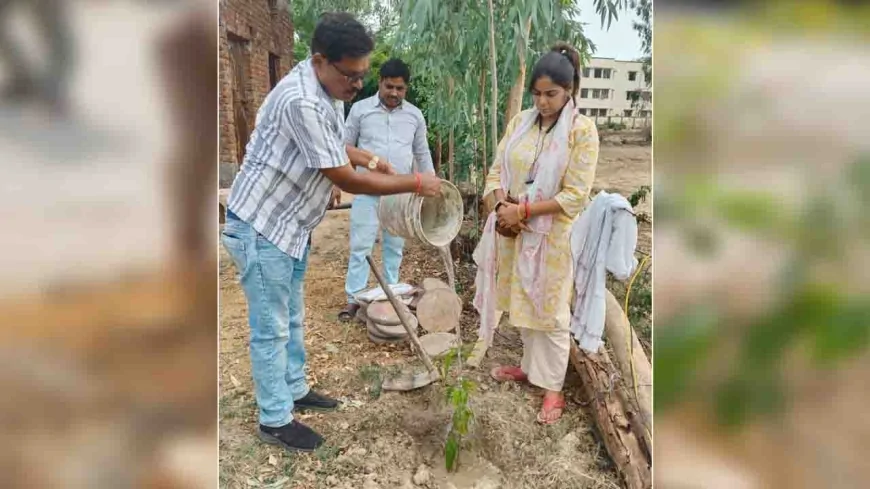बाल संरक्षण विभाग ने रोपे पौधे