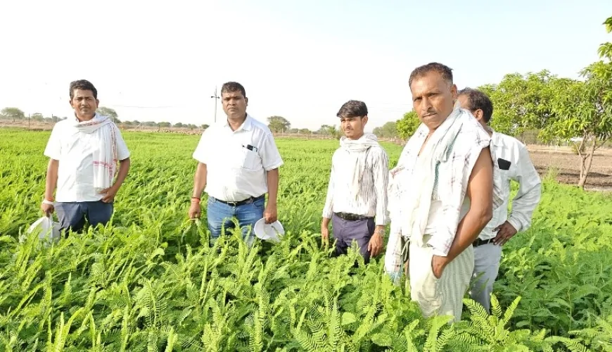 उप कृषि निदेशक ने फसल प्रबंधन व सिंचाई तकनीक की दी जानकारी