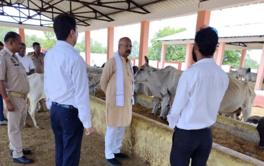 दुरुस्त की जाए गौशालाओं की छोटी से छोटी कमियां : रमाकांत