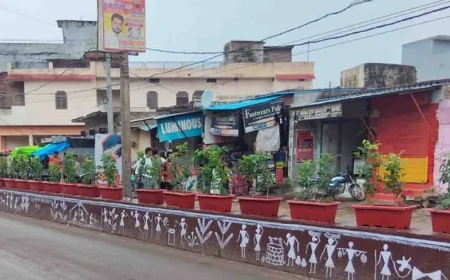 दुल्हन की तरह सजाया गया हवाईपट्टी से सीआईसी तक मार्ग