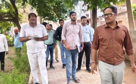 डीएम ने कोठी तालाब स्थित अटल पार्क का किया निरीक्षण
