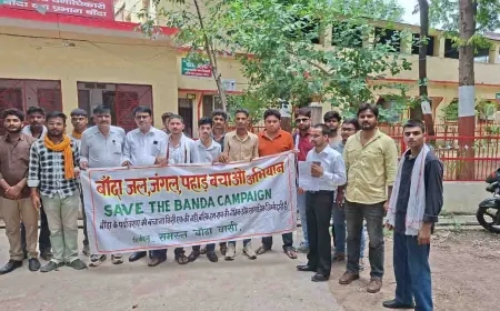क्या बांदा बनता जा रहा है बंजर? पेड़ों की अंधाधुंध कटाई पर फूटा लोगों का गुस्सा!