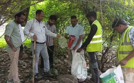 परिक्रमा मार्ग से हटाया गया कचरा और प्लास्टिक
