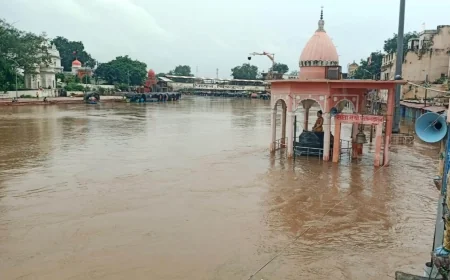 लगातार बारिश से उफनाई मंदाकिनी व बरदहा नदी