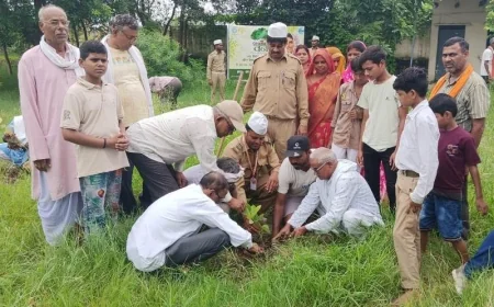 संत निरंकारी सत्संग भवन में किया गया वृक्षारोपण